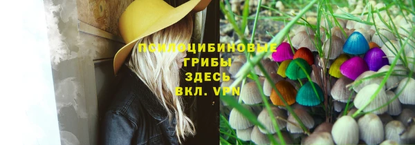 a pvp Аркадак