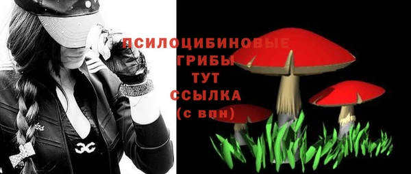 a pvp Аркадак