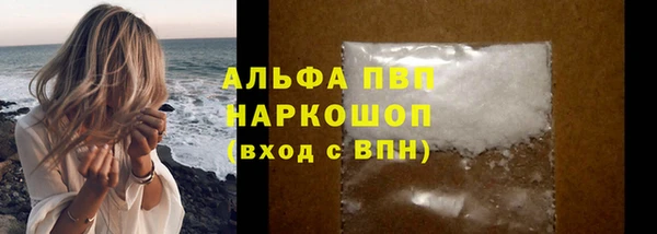 a pvp Аркадак