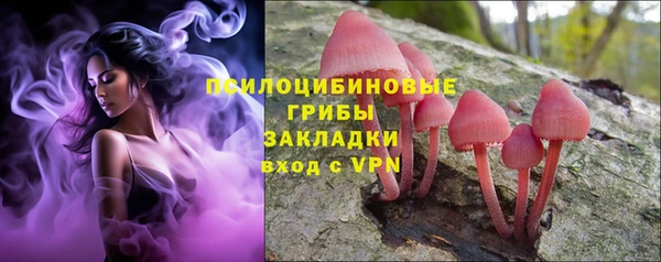 винт Арсеньев