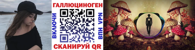 Купить где  Вязьма  Псилоцибиновые грибы Cubensis 